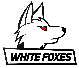 TEAM WHITE FOXES